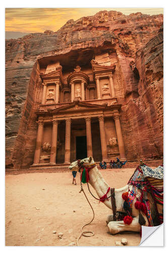 Muursticker Camel in front of the treasury of Petra II