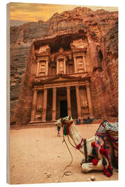 Obraz na drewnie Camel in front of the treasury of Petra II