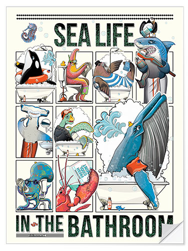 Wall sticker Sea life in the Bathroom