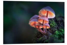 Magnettafel Versteckte Welten