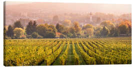 Stampa su tela Vigneto in autunno, Rheingau