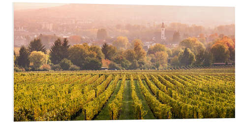 Tableau en PVC Vignoble en automne, Rheingau