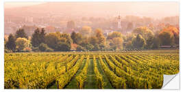 Naklejka na ścianę Vineyard in autumn, Rheingau