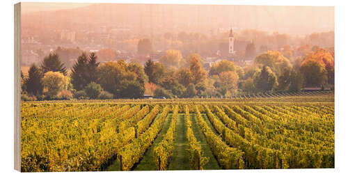 Obraz na drewnie Vineyard in autumn, Rheingau