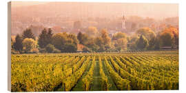 Print på træ Vineyard in autumn, Rheingau