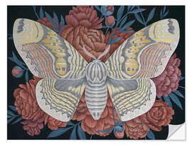 Sticker mural Papillon brahmane