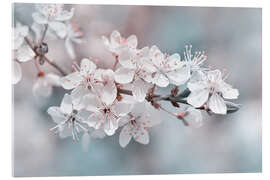 Cuadro de metacrilato Beautiful spring blossoms