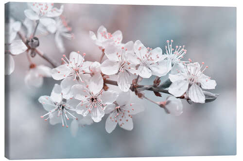 Leinwandbild Schöne Frühlingsblüten