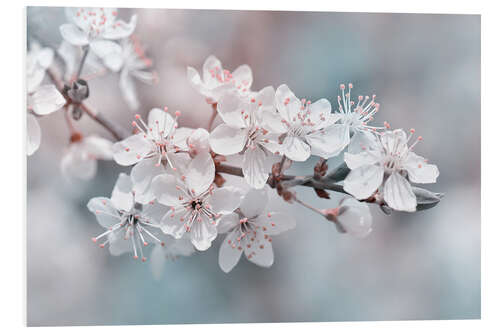 Hartschaumbild Schöne Frühlingsblüten