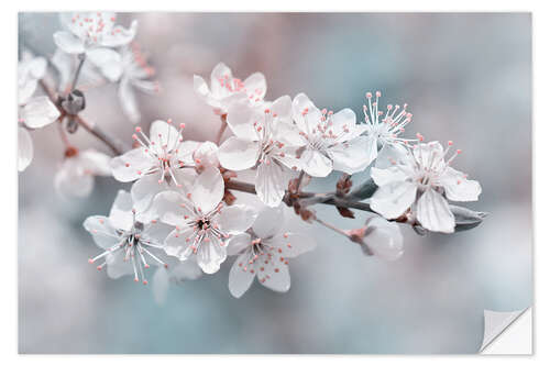 Wall sticker Beautiful spring blossoms