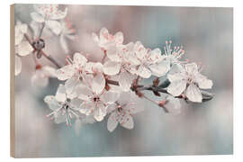 Hout print Beautiful spring blossoms