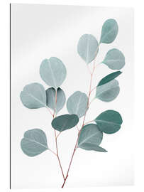 Gallery print Blue Eucalyptus