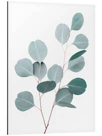 Magnettafel Blauer Eukalyptus