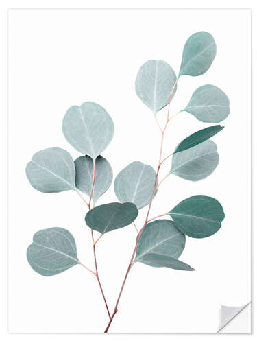 Wall sticker Blue Eucalyptus