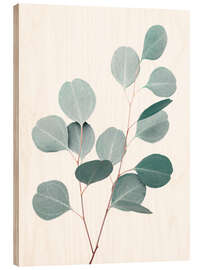 Wood print Blue Eucalyptus