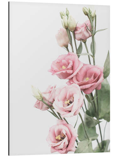 Tableau en aluminium Lisianthus II