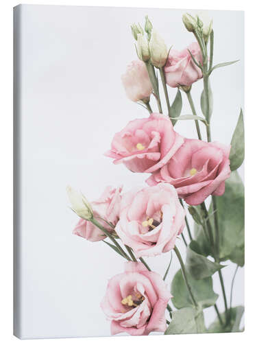 Canvas print Lisianthus II