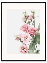 Framed art print Lisianthus II