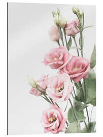 Gallery Print Lisianthus II