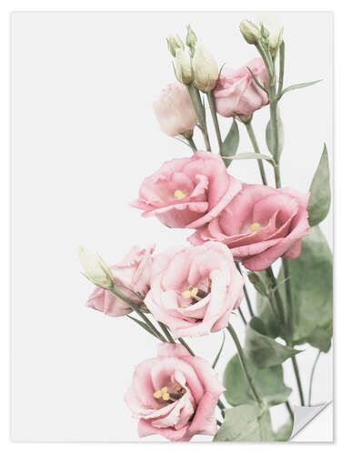 Wandsticker Lisianthus II
