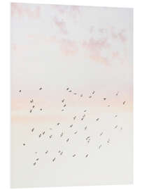 Foam board print Pastel Sky