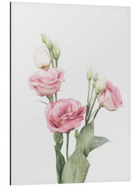 Aluminium print Lisianthus I