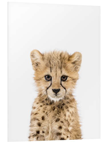 Foam board print Baby Cheetah