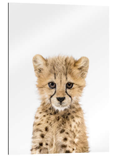 Galleriataulu Baby Cheetah