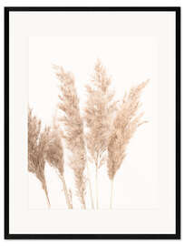 Ingelijste kunstdruk Soft Pampas Grass