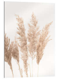 Gallery print Soft Pampas Grass