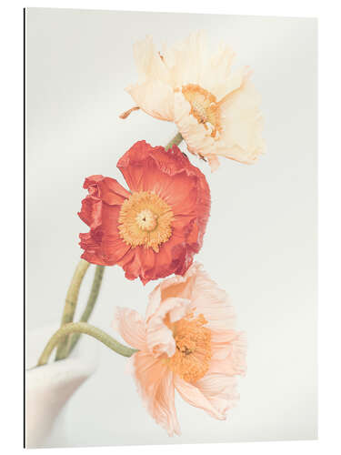 Gallery print Poppy