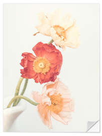 Wall sticker Poppy