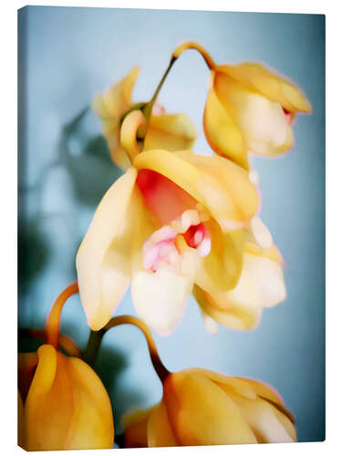 Canvas print Golden Orchids