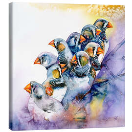 Canvastavla Zebra Finches