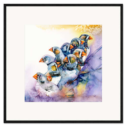 Ingelijste kunstdruk Zebra Finches