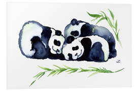 Foam board print Three Sleeping Baby Panda Bears