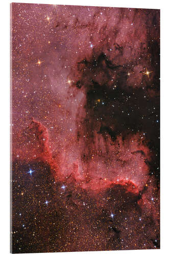 Acrylic print Cygnus Wall - North American Nebula