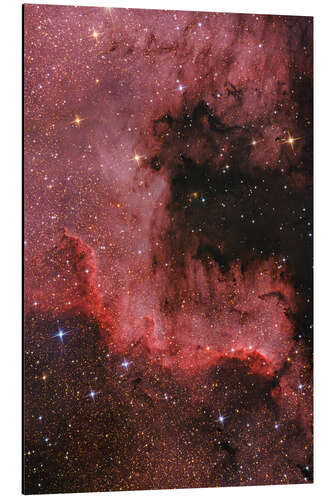 Aluminiumsbilde Cygnus Wall - North American Nebula