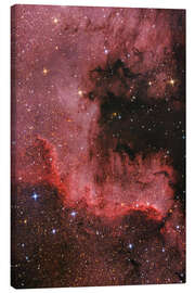 Canvas print Cygnus Wall - North American Nebula