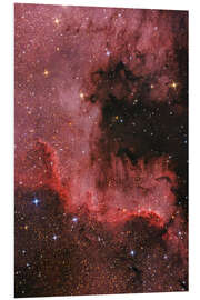 Foam board print Cygnus Wall - North American Nebula