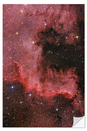 Selvklæbende plakat Cygnus Wall - North American Nebula