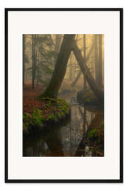 Gerahmter Kunstdruck Nebliger Wald in den Niederlanden