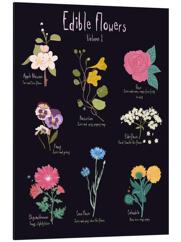 Aluminium print Edible Flowers vol 1