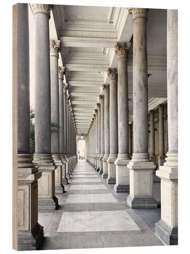 Print på træ Arcade in Karlovy Vary