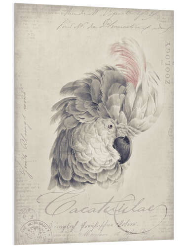 PVC print White Vintage Cockatoo