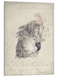 Gallery print White Vintage Cockatoo