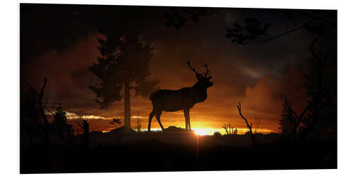 PVC-tavla Deer in the twilight