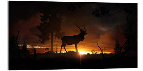 Gallery print Deer in the twilight