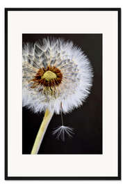 Gerahmter Kunstdruck Filigrane Kugel