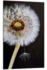 Magnettafel Filigrane Kugel